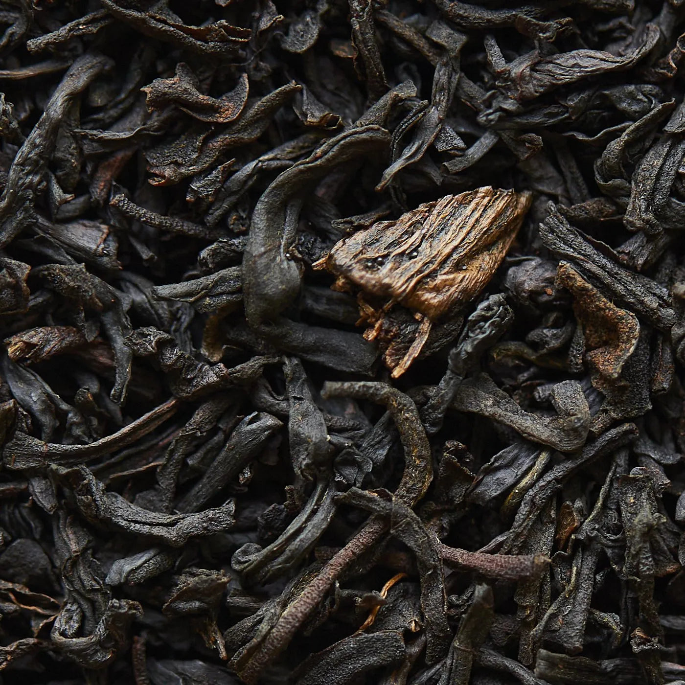 Tè nero alla VANIGLIA BOURBON - 50 g